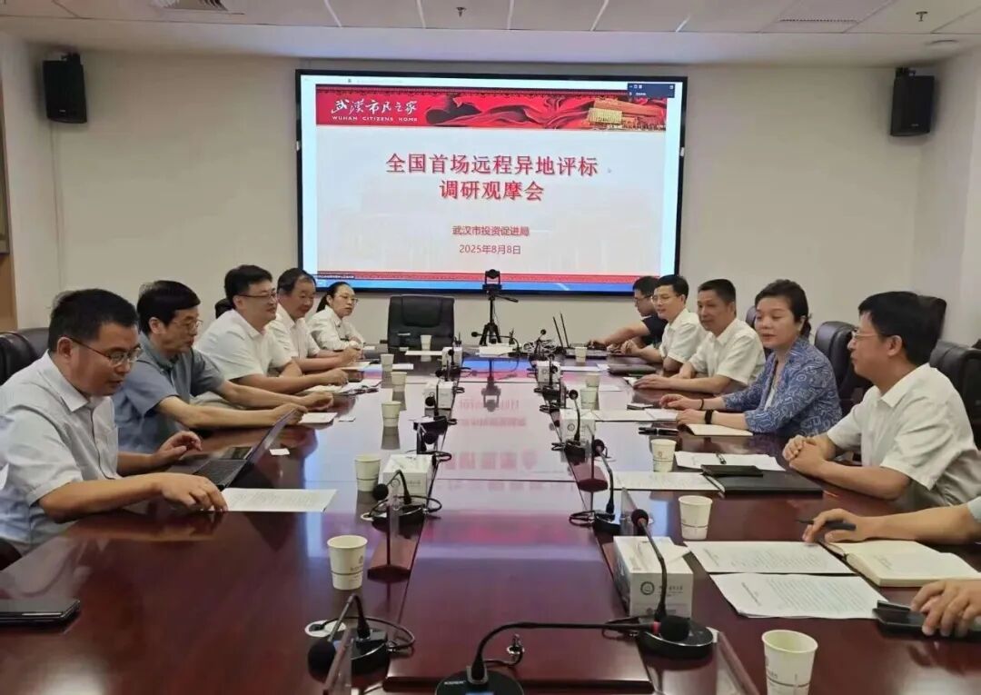 遠(yuǎn)程異地評標(biāo)，湖北首例執(zhí)行、首個“點亮”